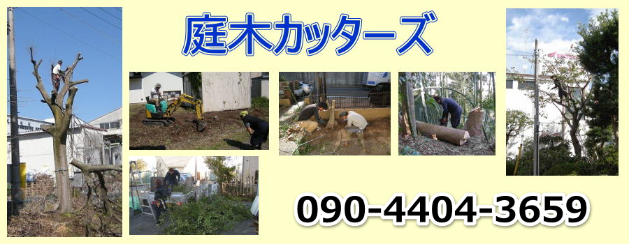 庭木カッターズ | 滋賀県竜王町の庭木の伐採を承ります。